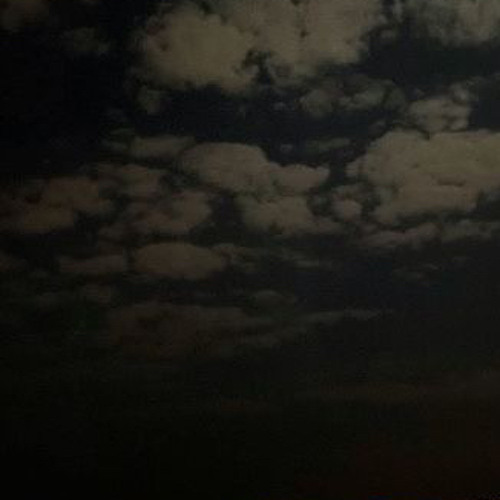 مالوم من سماك سيد العذارى 3>