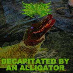Decapitated by an alligator