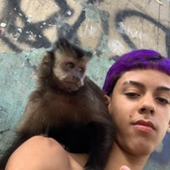 ta gostozin