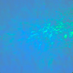 Dreams and Waves 300525