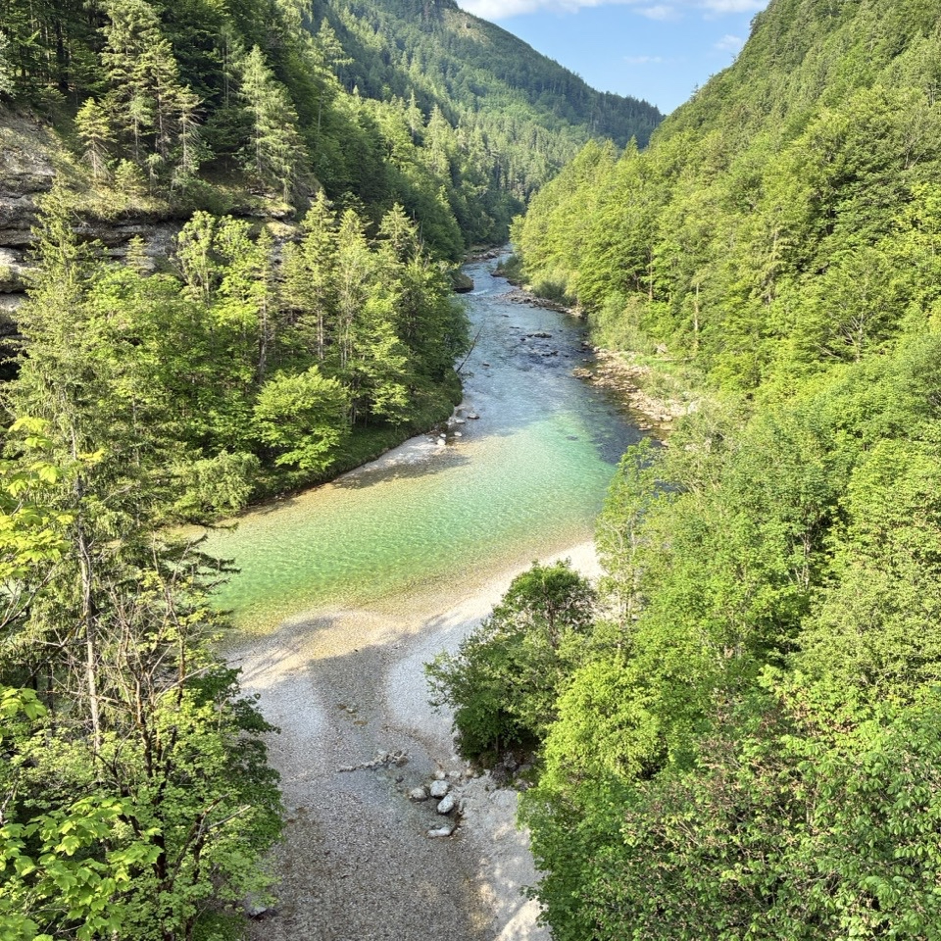 Podcast Wildalpen 1-3 (im Fluss).m4a episode artwork