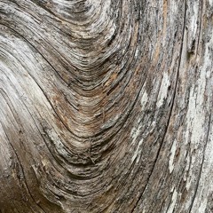 it doesn't have to be/victim of love