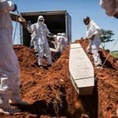 Covid summer dark of planet 2020