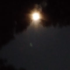 The37thproject - space, spade (prod.  beatsbynyce)