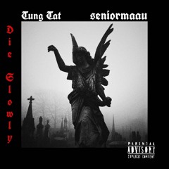 Die Slowly (feat. SeniorMaau) [prod. WM x Yung Tat]