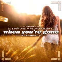 Dj Diamond & Pedro Feder Dj - When You'Re Gone