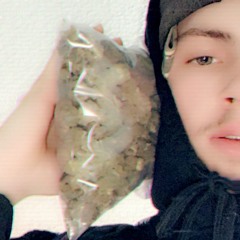 Better Dayz