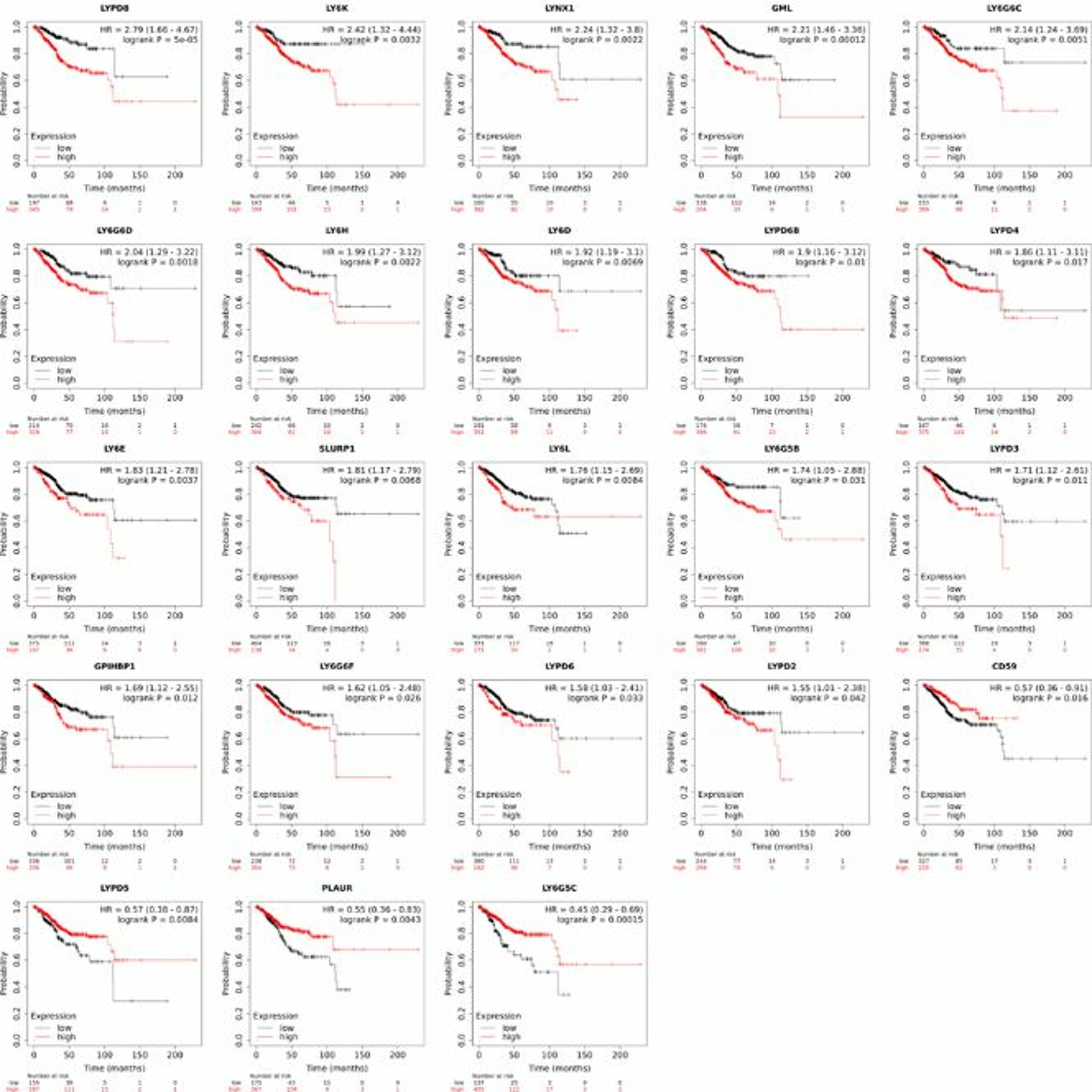 Oncotarget
