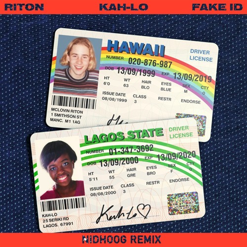 Riton & Kah-Lo - Fake ID (Nidhoog Remix)