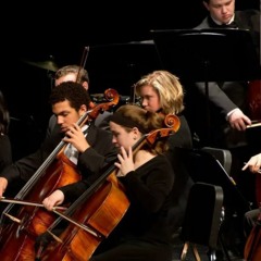 Elitenbildung stars background 🎧FREE DOWNLOAD