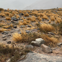 Huracán - María José Olave