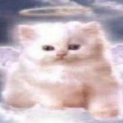 ķɱš