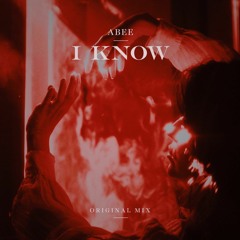 Abee Sash - I Know (Original Mix)