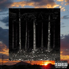 $UICIDEBOY$ - WITHER AWAY