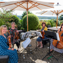 Like A Virgin by Madonna - String Quartet