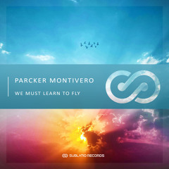 We Must Learn To Fly