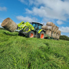 Stereo love bootleg🤩😝