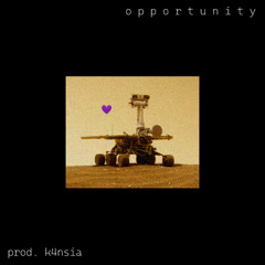 opportunity