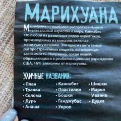 Это все она (gfelds)