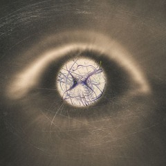 Lyrai - Under Grey Skies