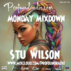 #277 Profound Radio Progressive House @djstuwilson