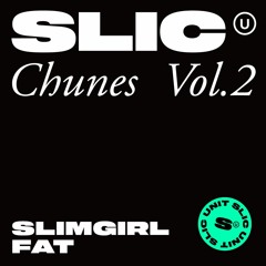 SLIC CHUNES VOL.2 // SLIMGIRL FAT