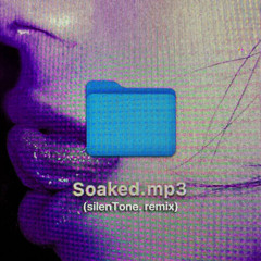 Shy Smith - Soaked (silenTone. remix)
