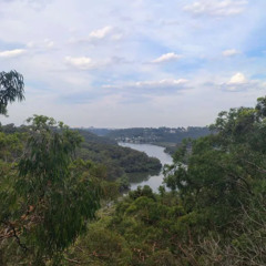 Lately I Aint Been Doin The Best