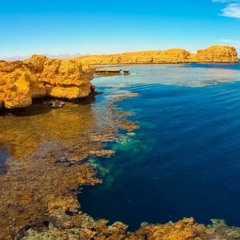 پهباد background 🐓FREE DOWNLOAD