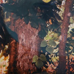 Falling Through A Bucket Of Water