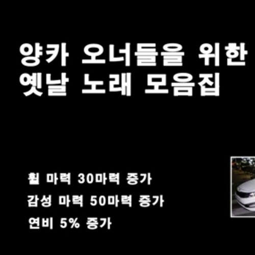 양카 오너 플리.mp3