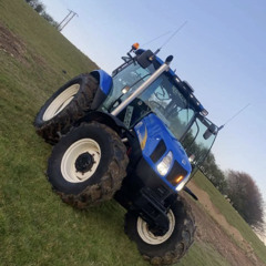 On zee beer don’t give a shite 🤪🤪