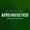 Afro House Best of May 2025 - Mixed by ATANG (BW) DJ mix artwork - Electronic music tracklist cover image