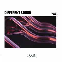 Different Sound - Cuica