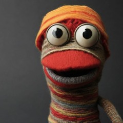Sock Puppet Co Produced By The Create Leauge