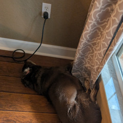 system shutdown