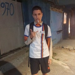 PJL FREESTYLE p. Hogs