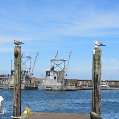 IFHY - Tyler The Creator (Instrumental & slowed)