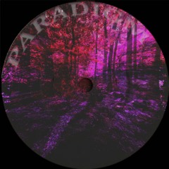 UNIVERSAL PARADIGM - DOPPLER