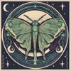 Descargar video: Luna Moth