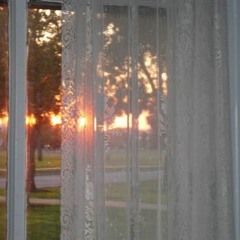 happiness is a butterfly (lana del rey)