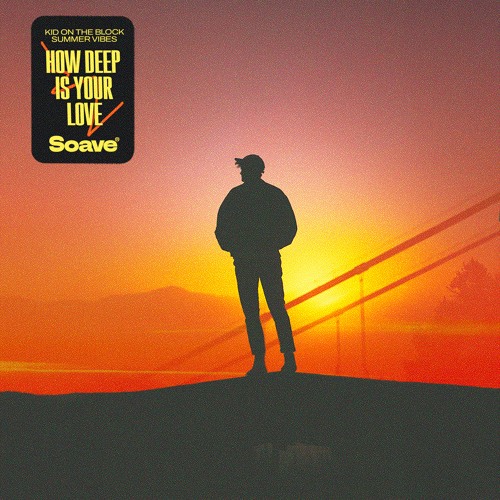 Kid On The Block & Summer Vibes - How Deep Is Your Love