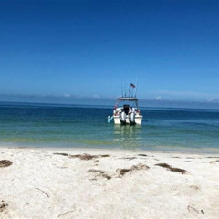 Review Special Price 4-Hour St. Pete Pier To Egmont Key Experience By Ferry