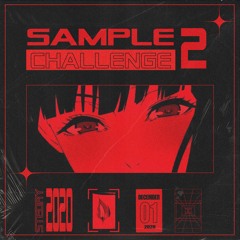 sample challenge 2
