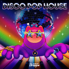 Disco Pop House