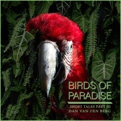 Birds of Paradise | Short Tales Part III | Dan van den Berg