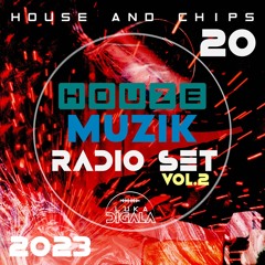 Houze Muzik Radio Show for ISDR | House And Chips Session #20