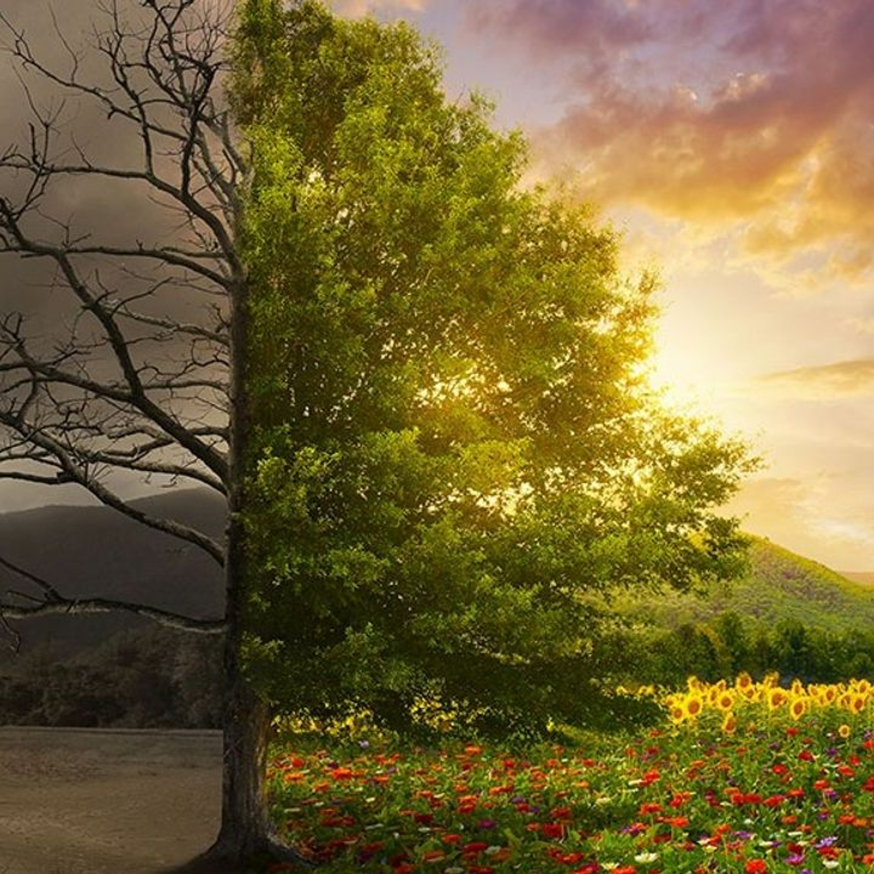 "JUSTICE & JOY IN THE KINGDOM": A DOUBLE-EDGED SWORD