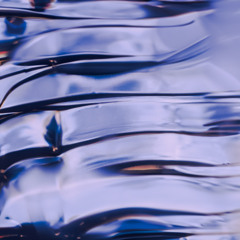 HCY - Pale Mono (Incl. Shoal Remix) [SPV017] (Preview)