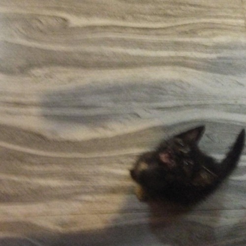 when u fall (ProdbyCian x rjpasin)